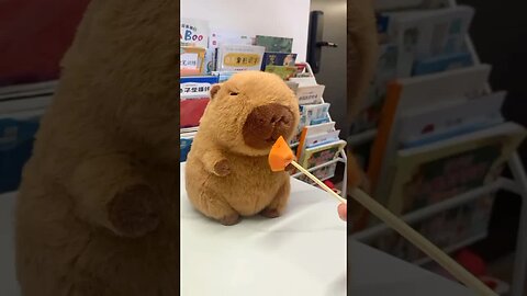 Capybara 🤩
