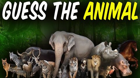 Discover the Secrets of the Wild Creature! | Identify the Animal | Creature Quiz | Wild Animal