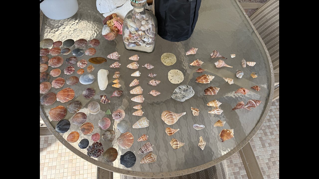 Beach Finds 11/22/2025 | 4K