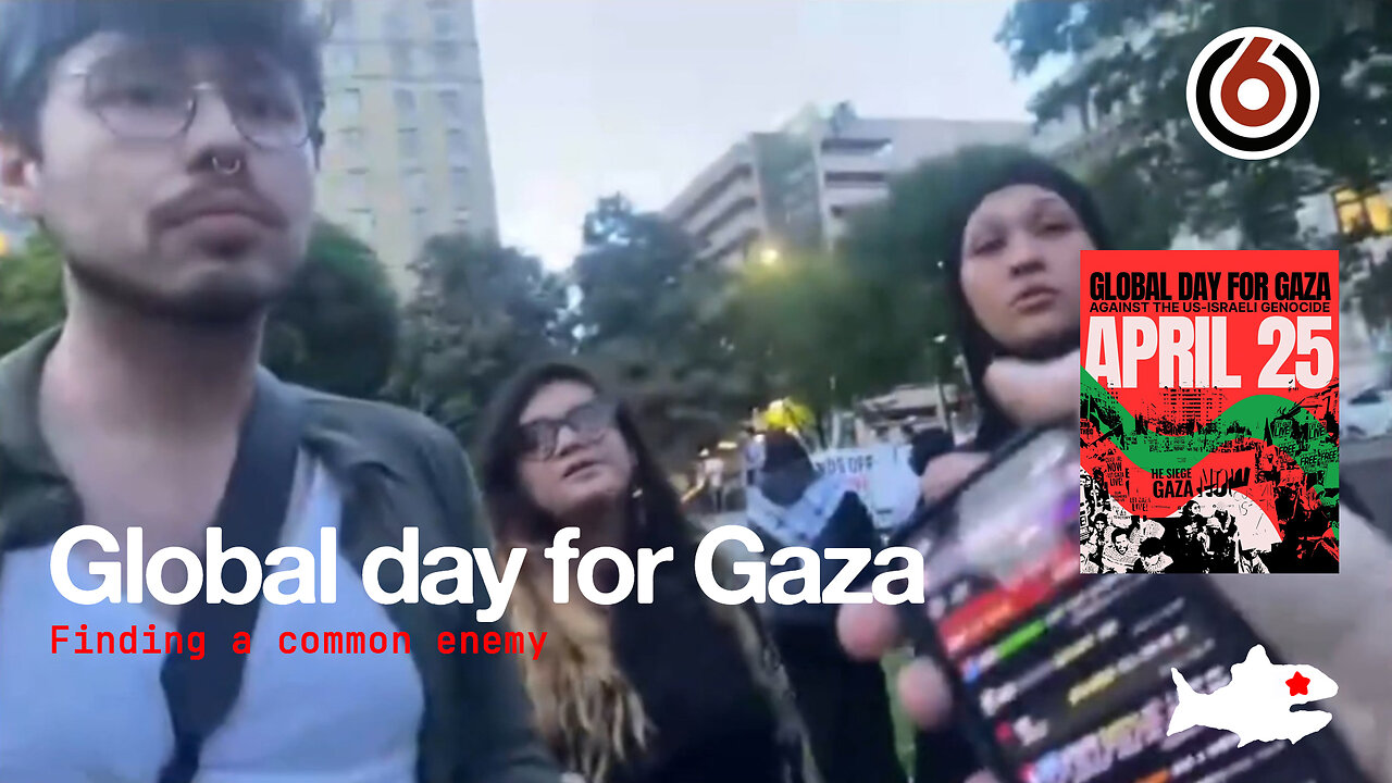 Channel 6 News at "Global day for Gaza" protest in Dallas | FTL Streaming