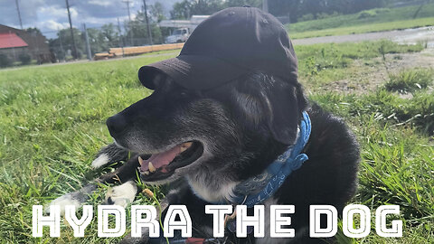 Hydra the Dog: #005