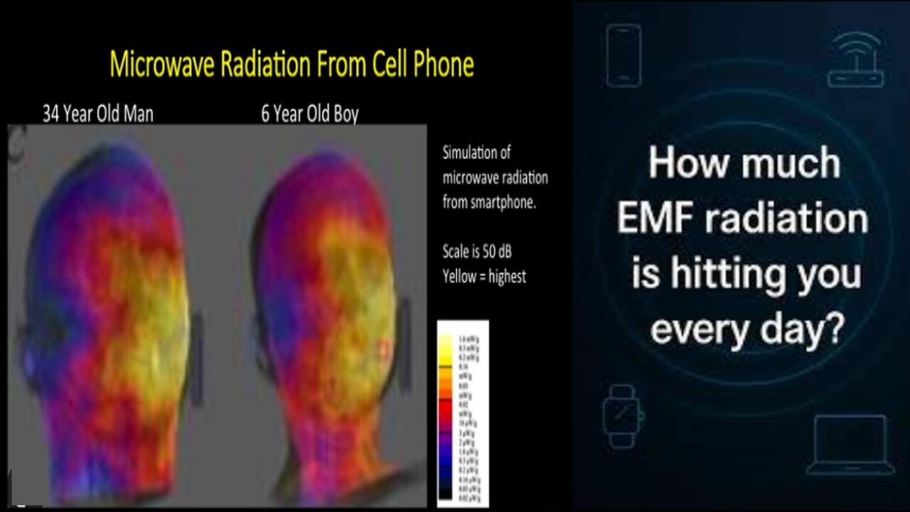 AN INVISIBLE THREAT - MICROWAVE RADIATION DOCUMENTARY