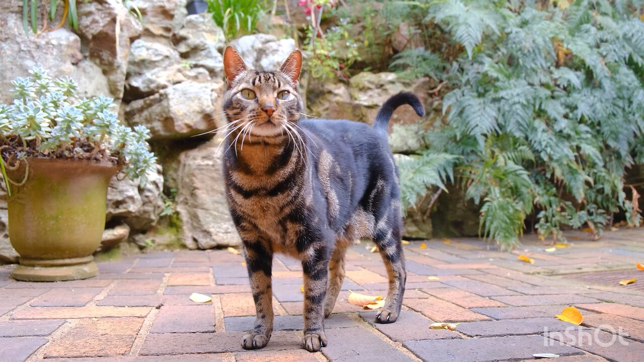 Follow me for more videos