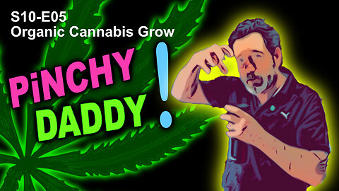 S10 E05 – Week 4 of Veg - Final Pinch & More Training - Shiskaberry, Chemy Lemmy, Afghan Kosher