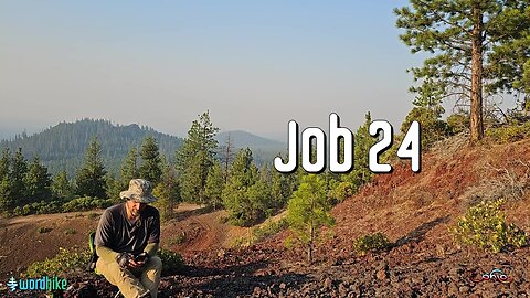 Job 24