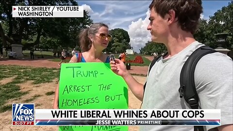 Watters: Everyone's Happy About Fighting DC Crime Except White Libs