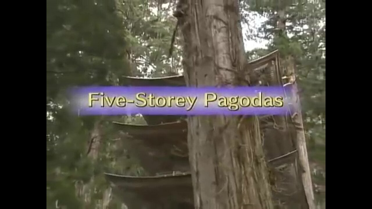 Five Storey Pagodas in Japan