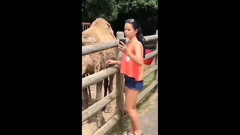 When You Try to Act Cool... But Life Has Other Plans!