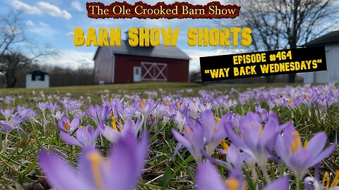 "Barn Show Shorts" Ep. #464 “Way Back Wednesdays”