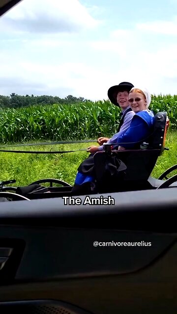 The Amish and Lack of Autism, Obesity, and Disease