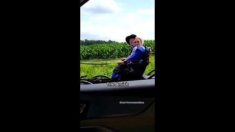 The Amish and Lack of Autism, Obesity, and Disease