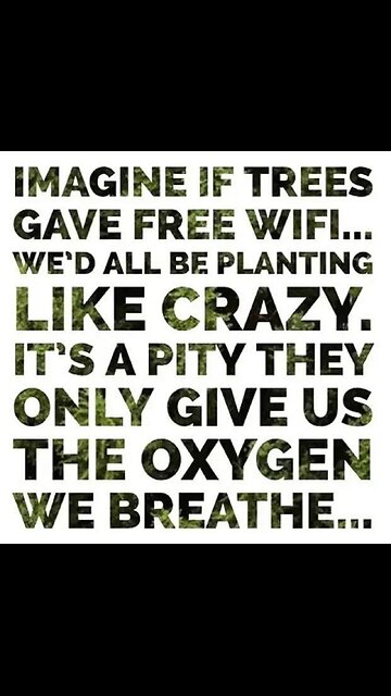 5 types of water that are extremely good for watering plants