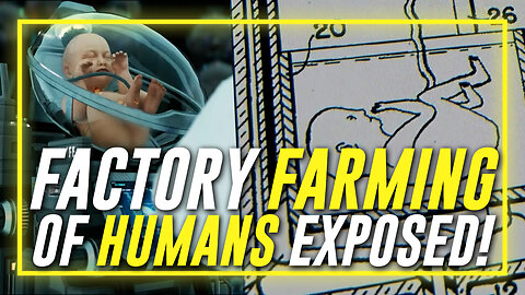 Leading Expert On Surrogate Births Exposes $200 Billon Global Industry Factory Farming Of Humans!