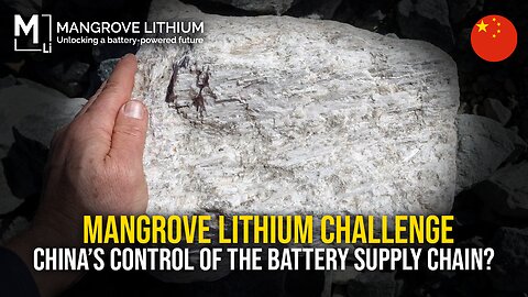 Mangrove Lithium vs China: The Battle for EV Batteries