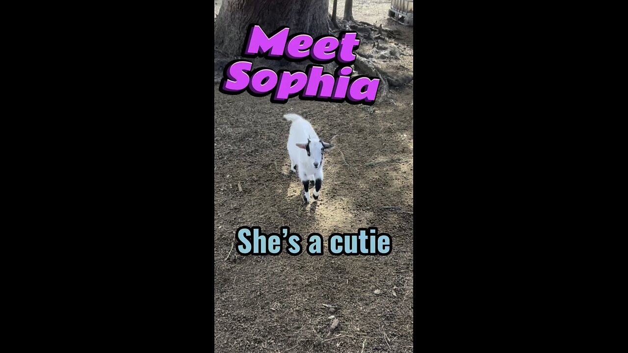 Meet baby Sophia.