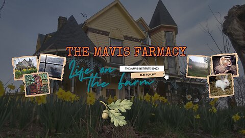 Mavis Farmacy 24/7 &eth;&plusmn; | Holler Radio &eth;&para; | Live Appalachian Farm Cam (Chickens, Ducks & Garden)