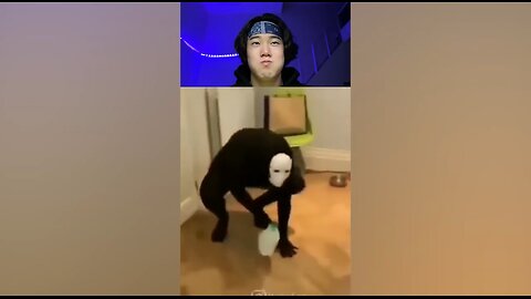 BEST Funny Try Not To Laugh Challenge Compilation 🤣