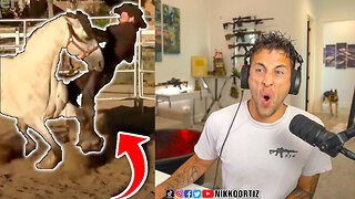 LIVE - Farm Animals Attack!