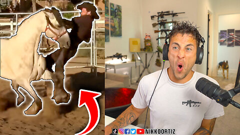 LIVE - Farm Animals Attack!