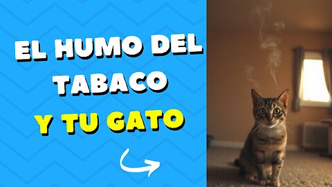 Humo Del Tabaco