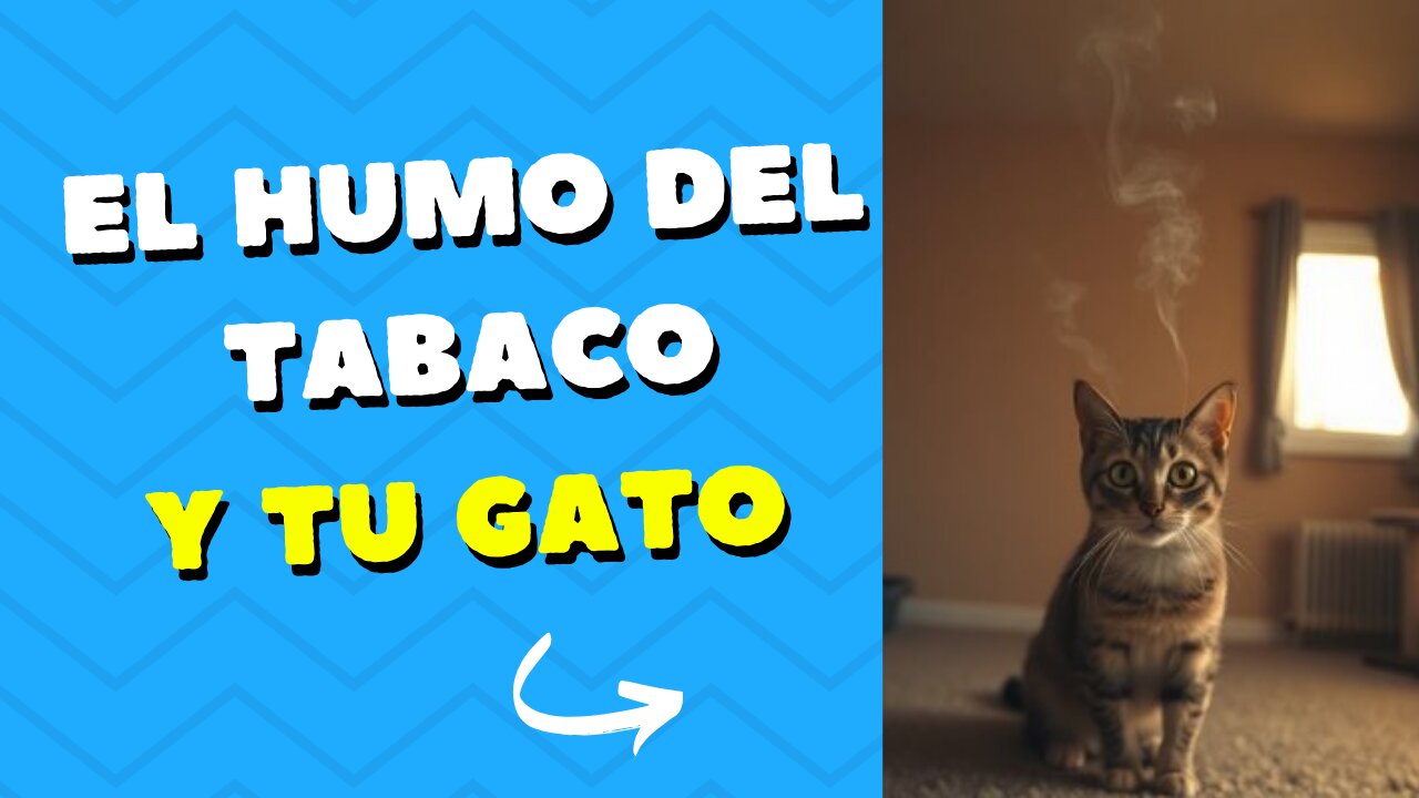 Humo Del Tabaco