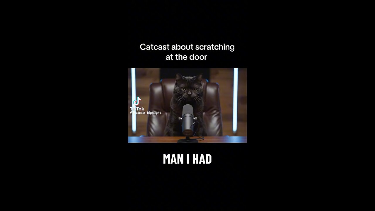Cats