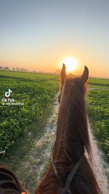 #newsweek #politics #congress #senate