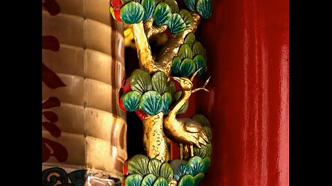 Pájaro en la cabeza