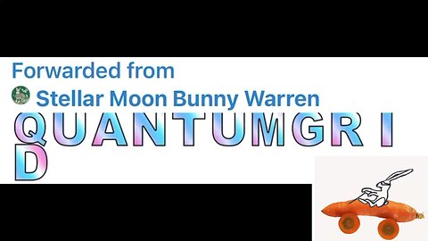 QUANTUMGRID #MoonBunny 08/10/25
