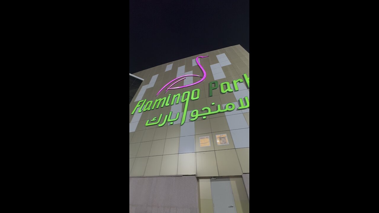 Flamingo 🦩 Park