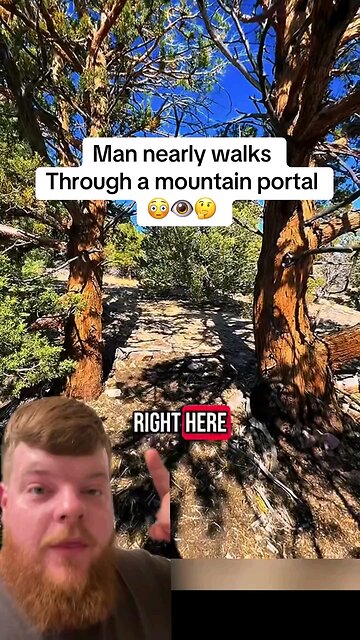 tree portal 😶‍🌫️