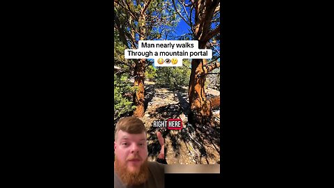 tree portal 😶‍🌫️