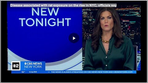 "Rat-Associated Disease Cases Increasing in NYC, Say Officials"