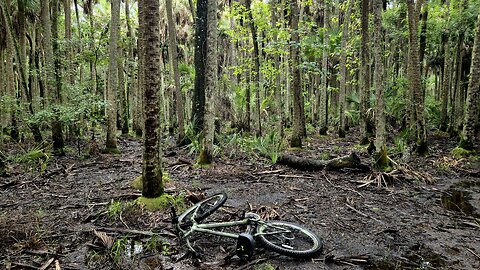 Swamp Trail Bike