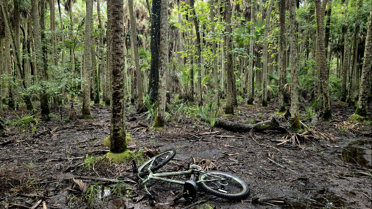Swamp Trail Bike