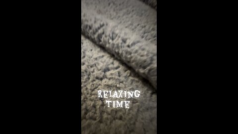 Friendship kitty and frenchie