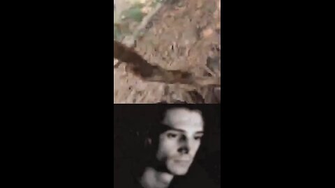 it always the LOW quality videos