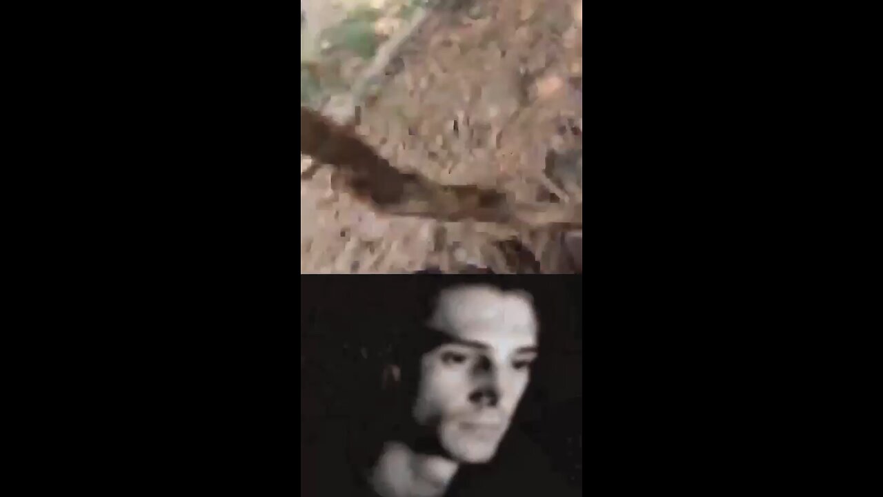 it always the LOW quality videos