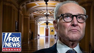 JUST IN: Schumer privately fought to extend government shutdown, report says