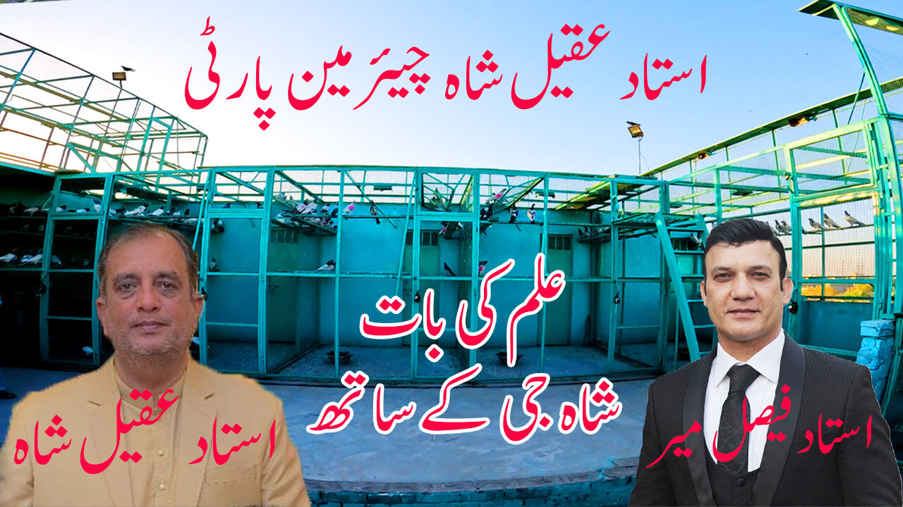 CM Party | Ustad Aqeel Shah | Kay Breeder Pigeons Ka shaoq | Or Ilm Ki Baat || Watch In HD Urdu/Hind