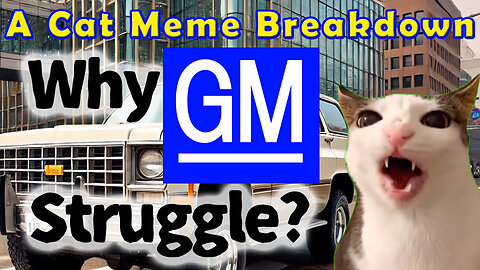 Why People Hate Walmart – A Cat Meme Breakdown