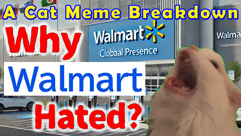 Why People Hate Walmart – A Cat Meme Breakdown