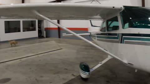 Walkaround of the Results after detailing a Cessna 172 in Huntsville AL