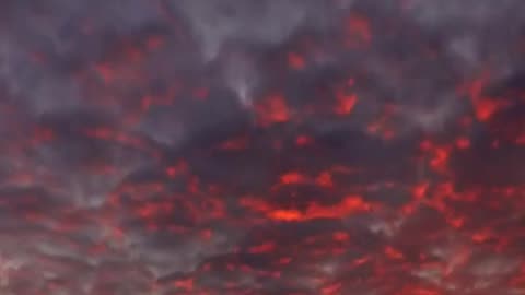 Daily Horoscope | Gemini 🌟