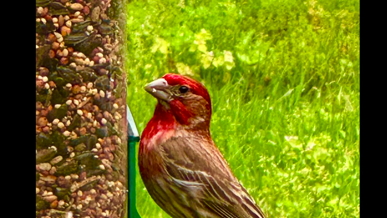 Another Mississippi Morning!