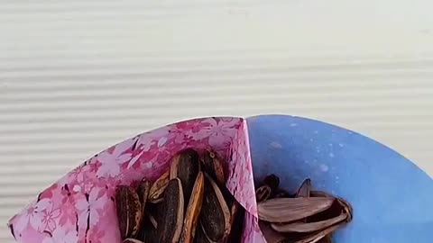 Fun Folding Crafts for Holidays