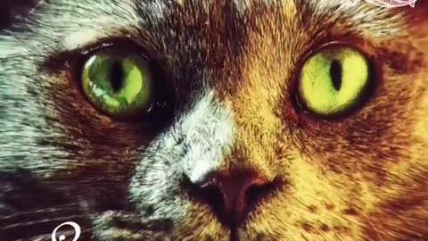 Technasia - I Am Somebody (Original Mix) [Suara]