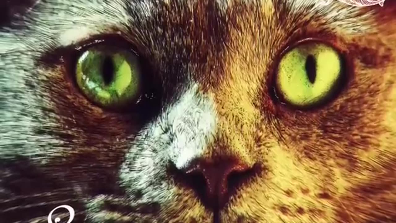Technasia - I Am Somebody (Original Mix) [Suara]