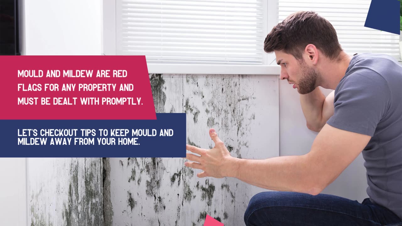 How To Prevent Mould And Mildew In Your Home?