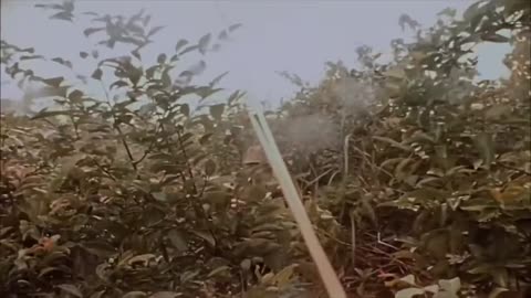 Vietnam War Bombing [Real Footage] Buffalo Springfield - For what it’s worth